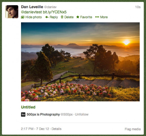 Twitter Cards with redirecting URL