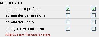 Add custom permission to core module