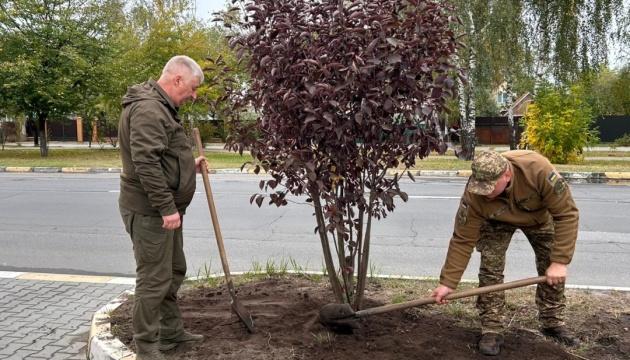 У Гостомелі вшанували пам'ять загиблих захисників міста, висадивши нові дерева.